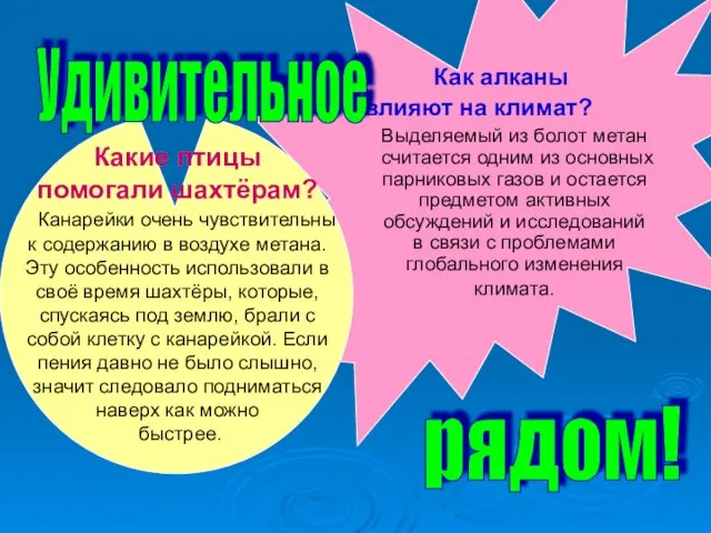 Как алканы влияют на климат? Выделяемый из болот метан считается одним из