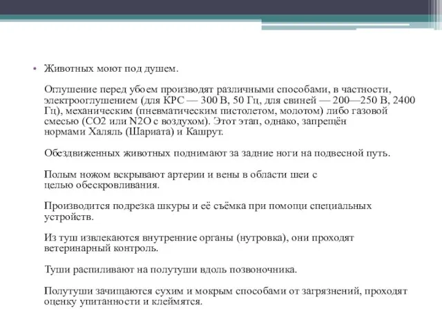 Животных моют под душем. Оглушение перед убоем производят различными способами, в частности,