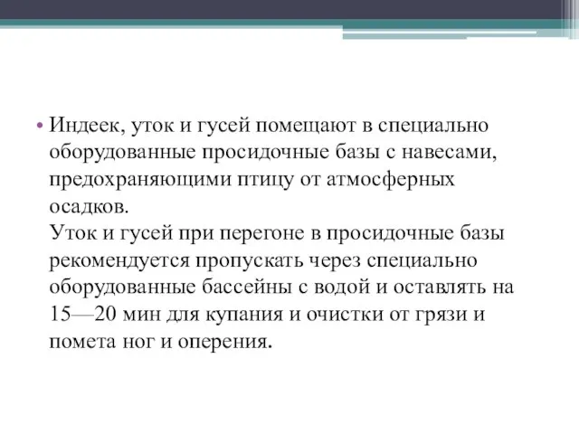 Индеек, уток и гусей помещают в специально оборудованные просидочные базы с навесами,