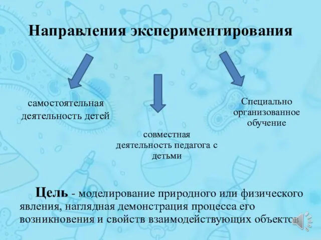 Направления экспериментирования Цель - моделирование природного или физического явления, наглядная демонстрация процесса