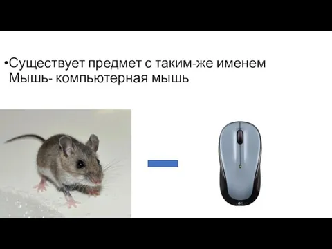 Существует предмет с таким-же именем Мышь- компьютерная мышь