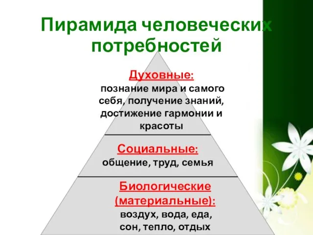 Пирамида человеческих потребностей Социальные: общение, труд, семья Духовные: познание мира и самого