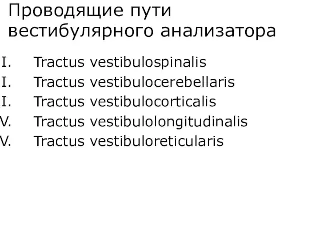 Проводящие пути вестибулярного анализатора Tractus vestibulospinalis Tractus vestibulocerebellaris Tractus vestibulocorticalis Tractus vestibulolongitudinalis Tractus vestibuloreticularis