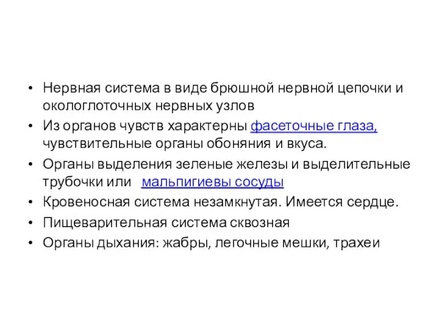 Нервная система в виде брюшной нервной цепочки и окологлоточных нервных узлов Из