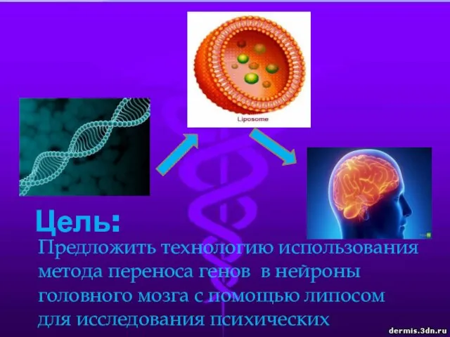 Цель: Предложить технологию использования метода переноса генов в нейроны головного мозга с