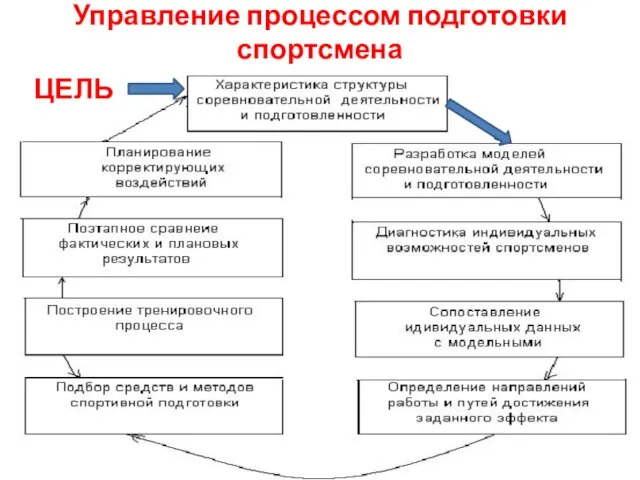 Управление процессом подготовки спортсмена ЦЕЛЬ