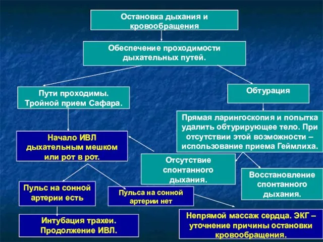 Начало ИВЛ дыхательным мешком или рот в рот. Остановка дыхания и кровообращения