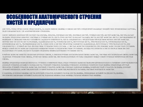 ОСОБЕННОСТИ АНАТОМИЧЕСКОГО СТРОЕНИЯ КИСТЕЙ И ПРЕДПЛЕЧИЙ ДЛЯ ТОГО, ЧТОБЫ ЧЁТКО И ЯСНО