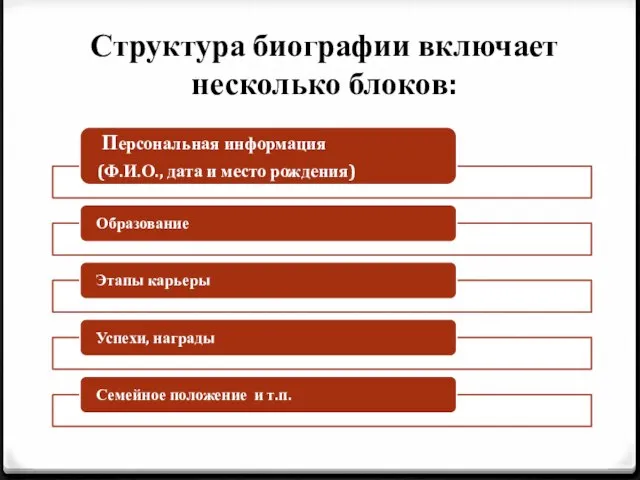 Структура биографии включает несколько блоков: