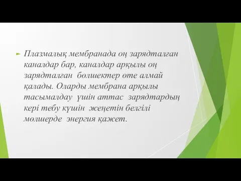 Плазмалық мембранада оң зарядталған каналдар бар, каналдар арқылы оң зарядталған бөлшектер өте