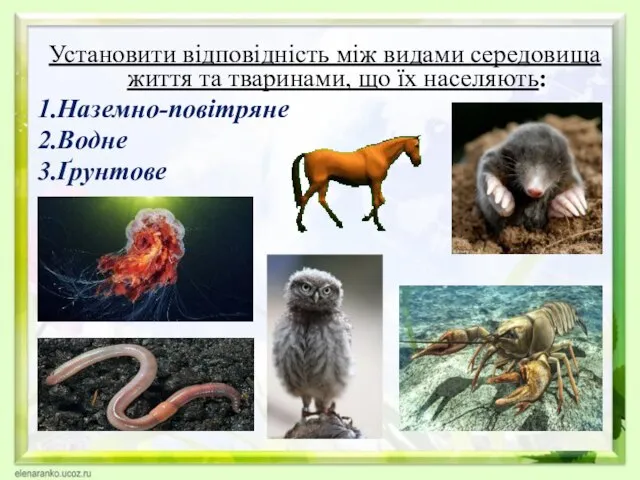 Установити відповідність між видами середовища життя та тваринами, що їх населяють: 1.Наземно-повітряне 2.Водне 3.Ґрунтове