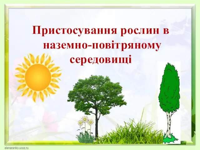 Пристосування рослин в наземно-повітряному середовищі