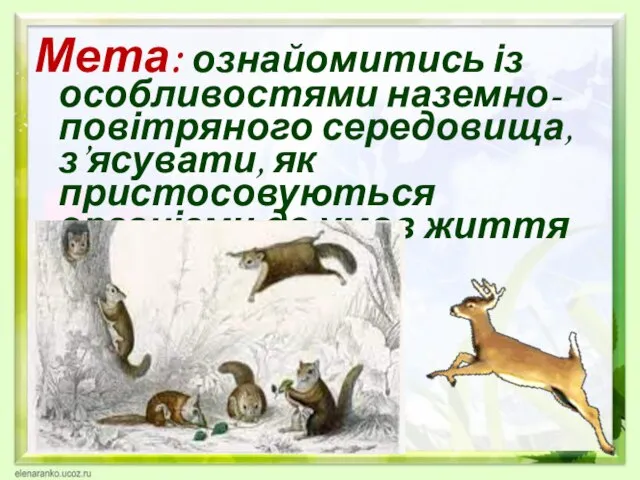 Мета: ознайомитись із особливостями наземно-повітряного середовища, з’ясувати, як пристосовуються організми до умов життя в ньому.