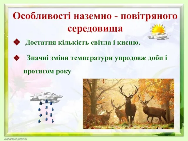 Достатня кількість світла і кисню. Значні зміни температури упродовж доби і протягом