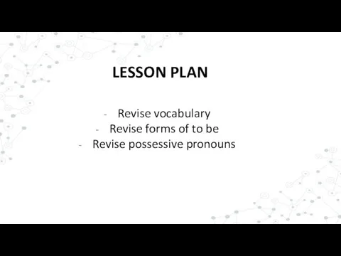 LESSON PLAN Revise vocabulary Revise forms of to be Revise possessive pronouns