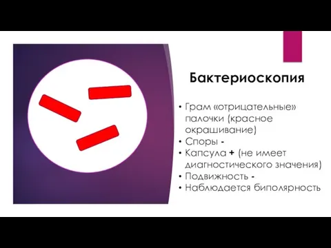 Бактериоскопия Грам «отрицательные» палочки (красное окрашивание) Споры - Капсула + (не имеет