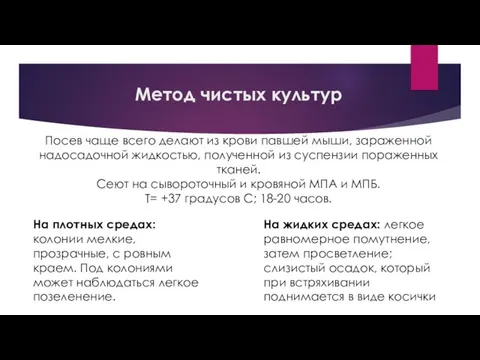 Метод чистых культур Посев чаще всего делают из крови павшей мыши, зараженной