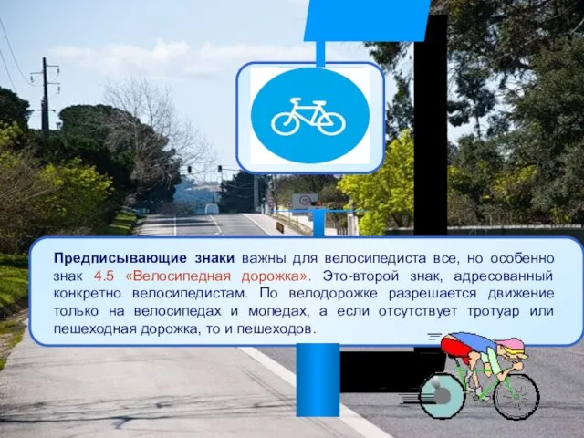 Предписывающие знаки важны для велосипедиста все, но особенно знак 4.5 «Велосипедная дорожка».
