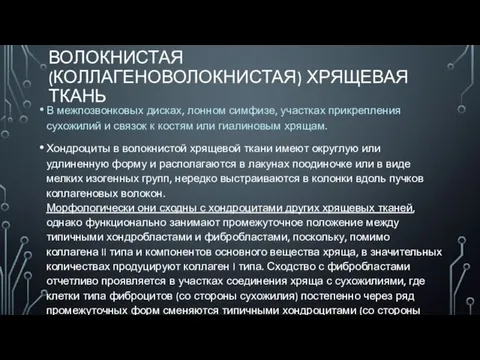 ВОЛОКНИСТАЯ (КОЛЛАГЕНОВОЛОКНИСТАЯ) ХРЯЩЕВАЯ ТКАНЬ В межпозвонковых дисках, лонном симфизе, участках прикрепления сухожилий