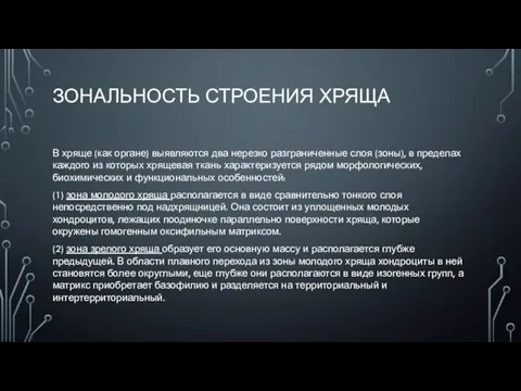 ЗОНАЛЬНОСТЬ СТРОЕНИЯ ХРЯЩА В хряще (как органе) выявляются два нерезко разграниченные слоя