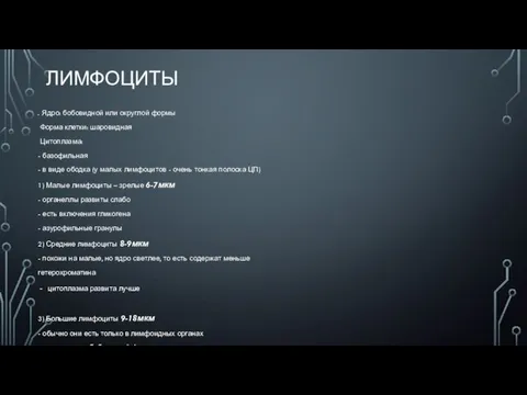 ЛИМФОЦИТЫ . Ядро: бобовидной или округлой формы Форма клетки: шаровидная Цитоплазма: -