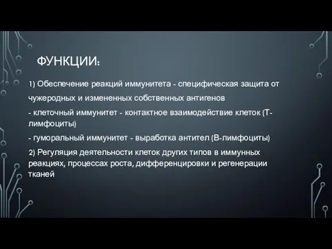 ФУНКЦИИ: 1) Обеспечение реакций иммунитета - специфическая защита от чужеродных и измененных