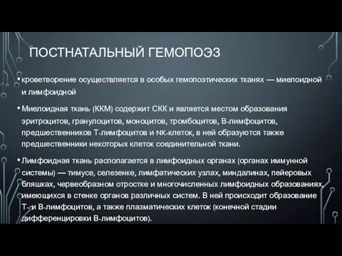 ПОСТНАТАЛЬНЫЙ ГЕМОПОЭЗ кроветворение осуществляется в особых гемопоэтических тканях — миелоидной и лимфоидной