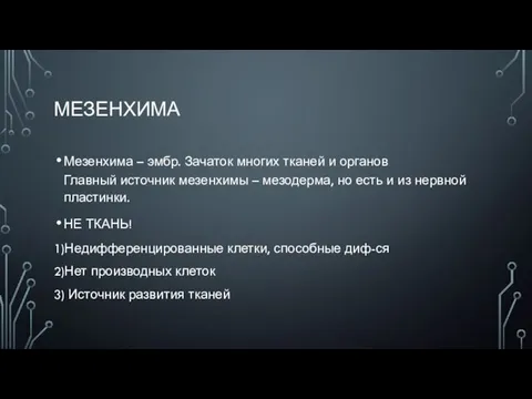 МЕЗЕНХИМА Мезенхима – эмбр. Зачаток многих тканей и органов Главный источник мезенхимы