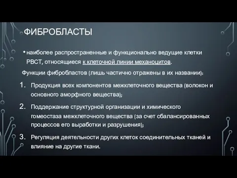 ФИБРОБЛАСТЫ наиболее распространенные и функционально ведущие клетки РВСТ, относящиеся к клеточной линии