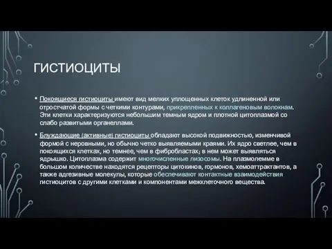 ГИСТИОЦИТЫ Покоящиеся гистиоциты имеют вид мелких уплощенных клеток удлиненной или отростчатой формы