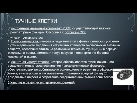 ТУЧНЫЕ КЛЕТКИ постоянный клеточный компонент РВСТ, осуществляющий важные регуляторные функции. Относятся к