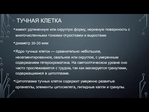 ТУЧНАЯ КЛЕТКА имеют удлиненную или округлую форму, неровную поверхность с многочисленными тонкими