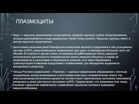 ПЛАЗМОЦИТЫ Ядро — округлое, расположено эксцентрично, содержит крупные глыбки гетерохроматина, которые располагаются