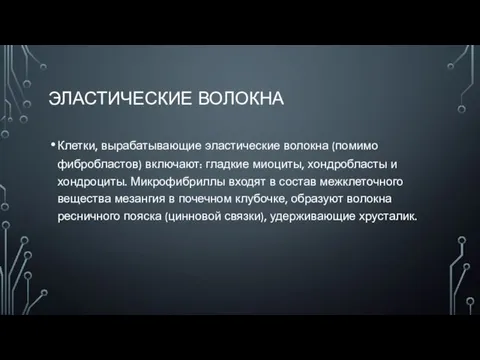 ЭЛАСТИЧЕСКИЕ ВОЛОКНА Клетки, вырабатывающие эластические волокна (помимо фибробластов) включают: гладкие миоциты, хондробласты