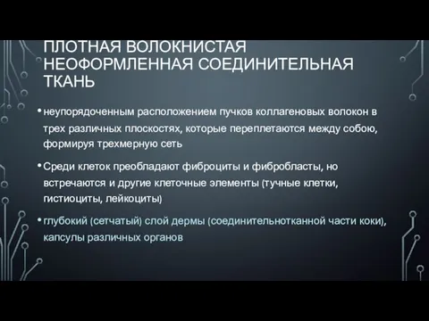 ПЛОТНАЯ ВОЛОКНИСТАЯ НЕОФОРМЛЕННАЯ СОЕДИНИТЕЛЬНАЯ ТКАНЬ неупорядоченным расположением пучков коллагеновых волокон в трех