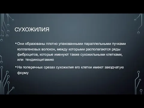 СУХОЖИЛИЯ Они образованы плотно упакованными параллельными пучками коллагеновых волокон, между которыми располагаются