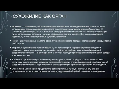 СУХОЖИЛИЕ КАК ОРГАН включает: (1) компоненты, образованные плотной волокнистой соединительной тканью —