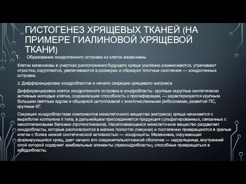 ГИСТОГЕНЕЗ ХРЯЩЕВЫХ ТКАНЕЙ (НА ПРИМЕРЕ ГИАЛИНОВОЙ ХРЯЩЕВОЙ ТКАНИ) Образование хондрогенного островка из