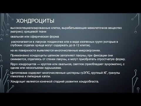 ХОНДРОЦИТЫ высокоспециализированные клетки, вырабатывающие межклеточное вещество (матрикс) хрящевой ткани овальная или сферическая