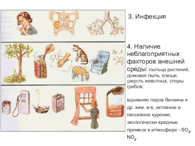 3. Инфекция 4. Наличие неблагоприятных факторов внешней среды: пыльца растений, домовая пыль,