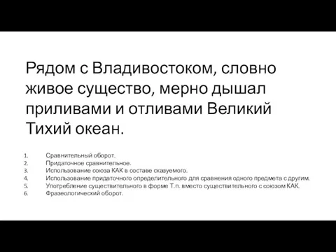 Рядом с Владивостоком, словно живое существо, мерно дышал приливами и отливами Великий