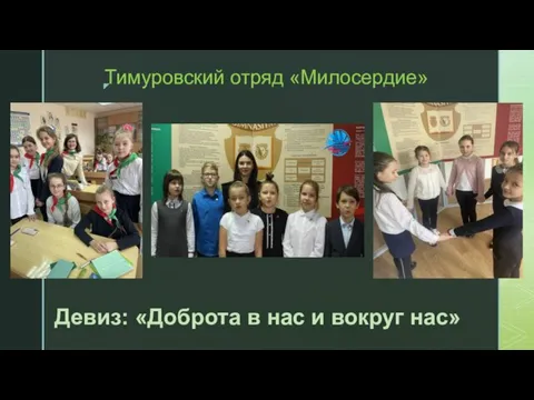Тимуровский отряд «Милосердие» Девиз: «Доброта в нас и вокруг нас»