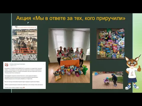 Акция «Мы в ответе за тех, кого приручили»