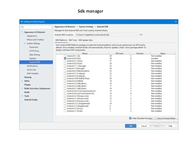 Sdk manager