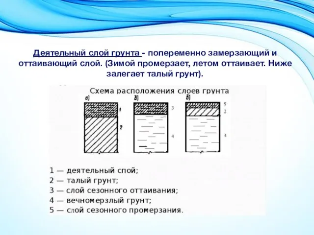 Деятельный слой грунта - попеременно замерзающий и оттаивающий слой. (Зимой промерзает, летом