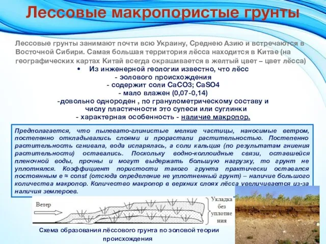 Лессовые макропористые грунты Лессовые грунты занимают почти всю Украину, Среднею Азию и