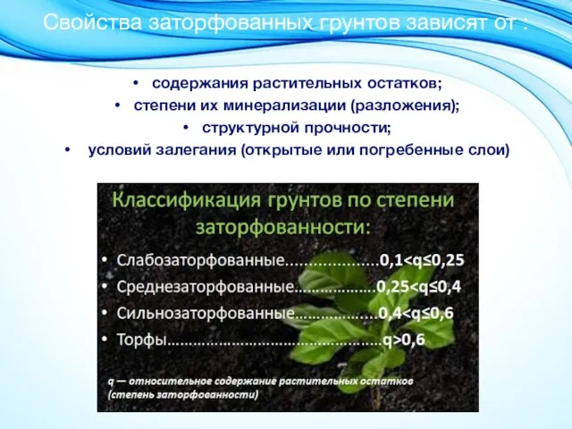 Свойства заторфованных грунтов зависят от : содержания растительных остатков; степени их минерализации