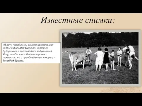 Известные снимки: «Я хочу, чтобы мои снимки цепляли, как кадры в фильмах