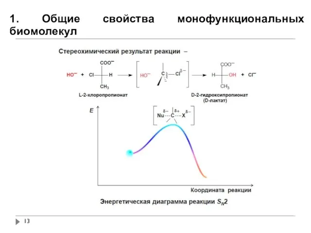 1. Общие свойства монофункциональных биомолекул