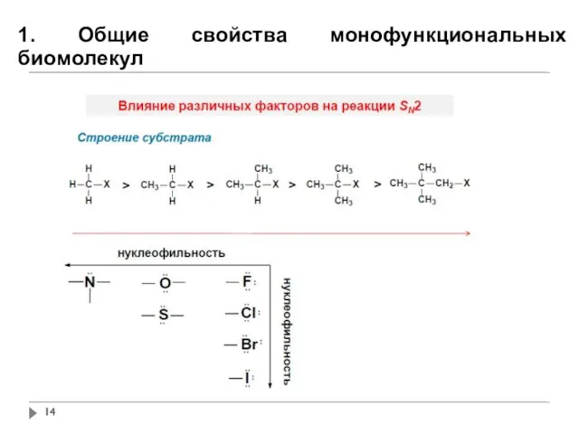 1. Общие свойства монофункциональных биомолекул